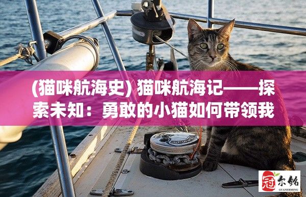 (猫咪航海史) 猫咪航海记——探索未知：勇敢的小猫如何带领我们发现新大陆？